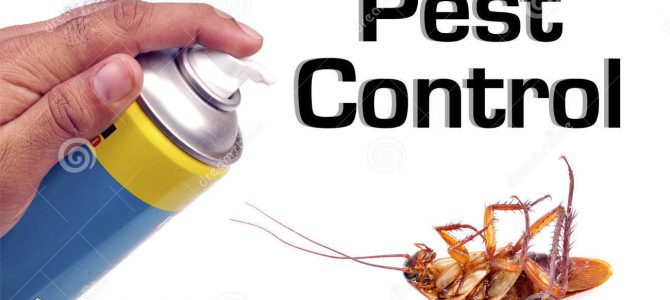 What Can a Pest Controller Does?